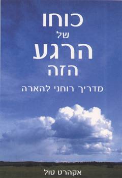 כוחו של הרגע הזה (The Power of Now)